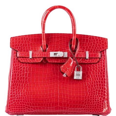 unique hermes birkin|hermes birkins jewellery.